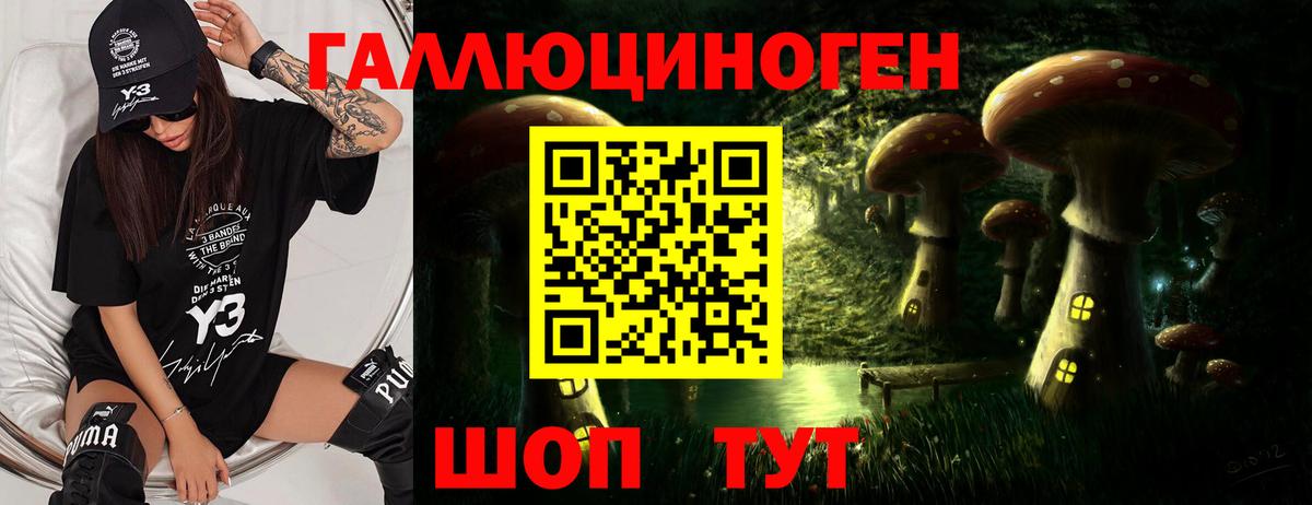 Галлюциногенные грибы ЛСД  Галлюциногенные грибы ЛСД  Дзержинск  Вход с VPN 